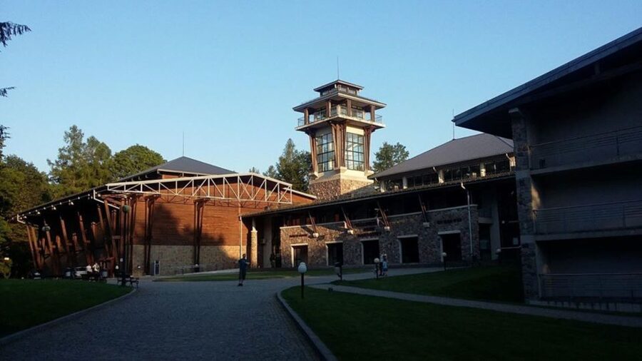 Warsaw: Bialowieza National Park and European Bison Tour - Weather, Winter, and the Comfort Reality