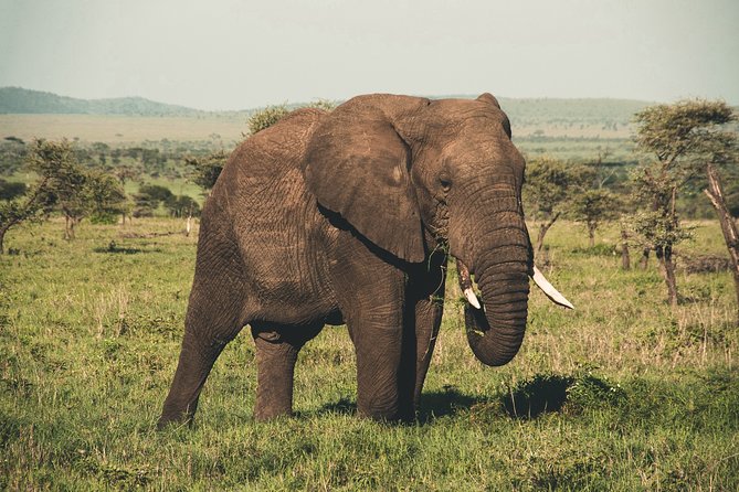 Wasgamuwa National Park Safari - The “learning stops” you’ll notice along the drive