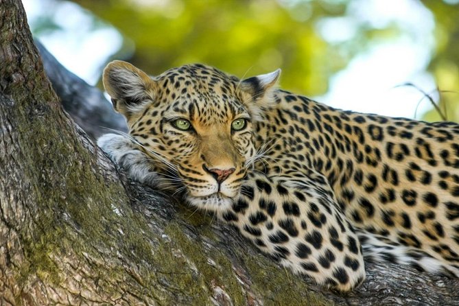 Wasgamuwa National Park Safari - Ticket choice: when entrance fees are included (and when they aren’t)