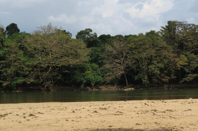 Wasgamuwa National Park Safari from Kandy - Price and Value: What You’re Actually Buying at $104