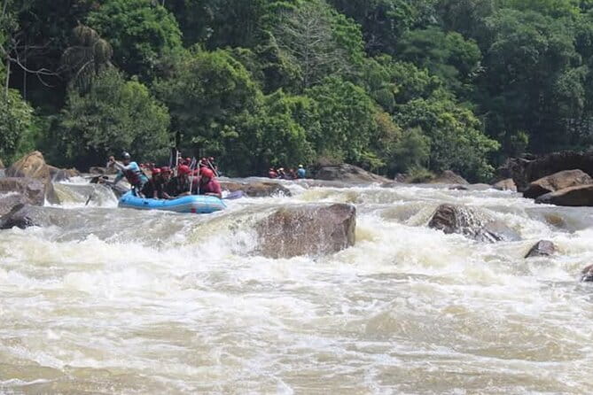 Wasgamuwa National Park Safari from Kandy - The Wasgamuwa National Park Safari: What 1 Jeep Safari Really Means