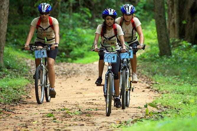 Wasgamuwa National Park Safari from Kandy - Who Should Book This Safari (and Who Might Skip It)