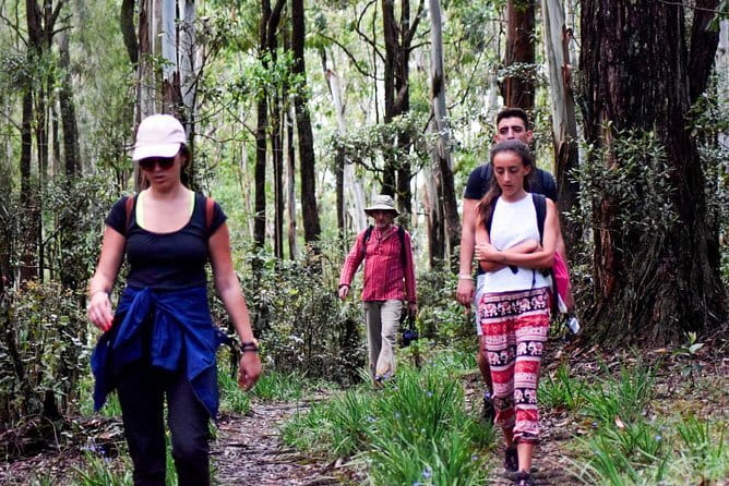 Wasgamuwa National Park Safari from Kandy - Quick Practical Tips Before You Go