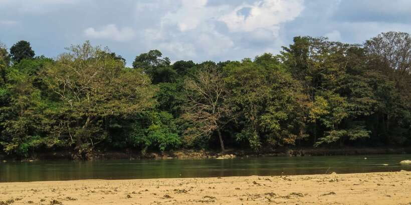 Wasgamuwa: Wasgamuwa National Park Private 3-Hour Safari - The land-mammal buffet: from deer to langurs to buffalo