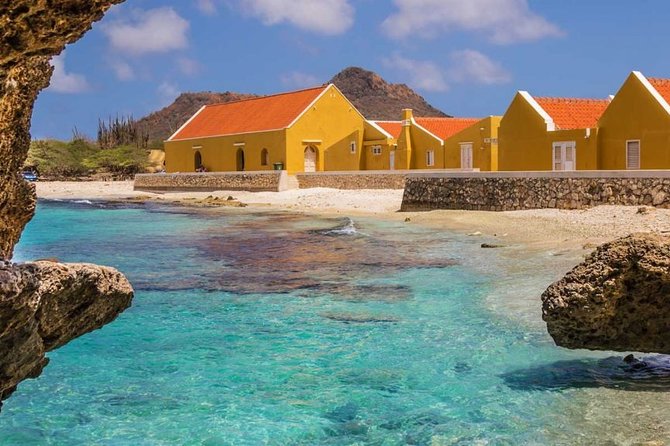 Washington Slagbaai National Park Tour in Bonaire - Why a Washington Slagbaai Jeep tour feels like the smart move