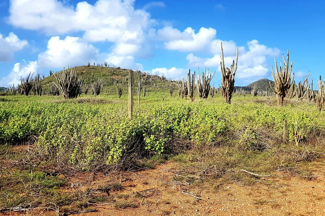 Washington Slagbaai National Park Tour in Bonaire - Stops 2 and 3: Seru Grandi and Wayaka Trail (snorkeling time that matters)