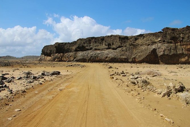 Washington Slagbaai National Park Tour in Bonaire - Wildlife spotting, blowholes, and why the guide voice matters