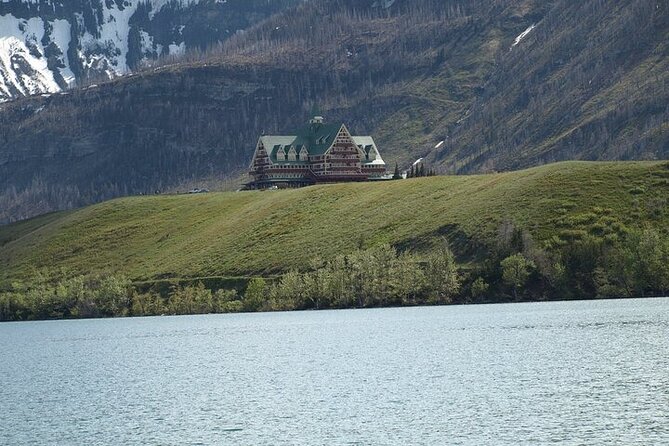 Waterton-Glacier International Peace Park | Be a Wildflower - Bison Paddock Loop Road: prairie sight lines and real wildlife time