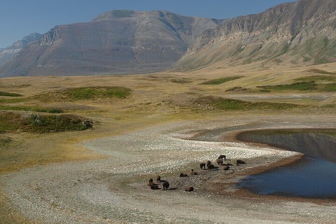 Waterton-Glacier International Peace Park | Be a Wildflower - Lundbreck Falls: sandstone, faulting, and a strong sense of place