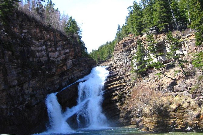Waterton Lakes National Park Scenic Day Tour from Calgary - Buffalo Paddock Viewing, and the Okotoks Big Rock Backup