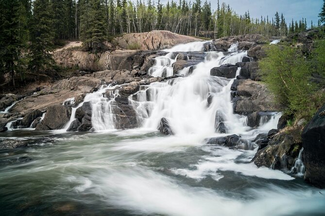 Waterton Lakes National Park Scenic Day Tour from Calgary - Tour Guide, Language, and the Comfort Factor on Board