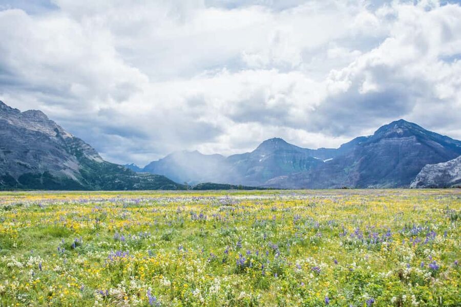 Waterton National Park: Lakes & Mountains Day Tour - Prince of Wales Hotel (About 30 Minutes): The Landmark Photo Stop Done Right