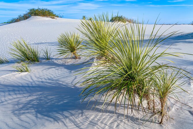 White Sands National Park Self-Guided Driving & Walking Tour - Audio setup and offline maps: the tech that keeps this tour stress-free
