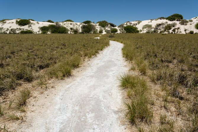 White Sands National Park Self-Guided Driving & Walking Tour - Who should book this White Sands audio tour, and who should skip it