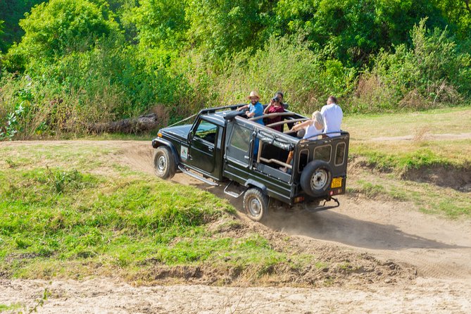 Wild Elephant Safari in Minneriya National Park - Price and Value: How $30 Per Person Can Make Sense (or not)