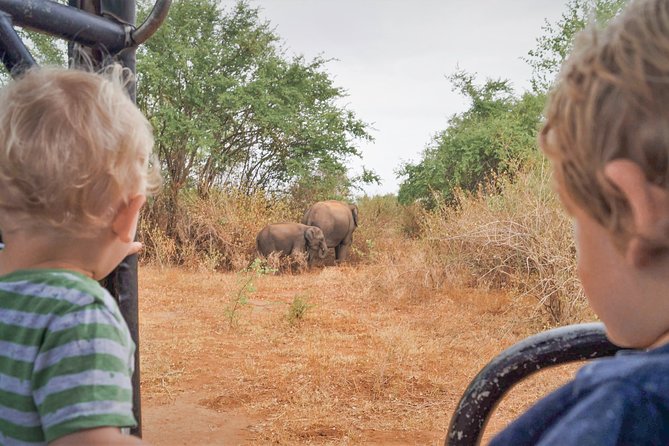 Wild Elephant Safari in Minneriya National Park - Your Private 4x4 Ride: Comfort, Dust, and Real Game-Drive Style