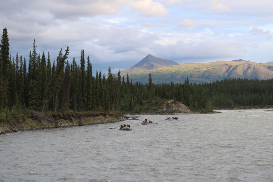 Wilderness: Denali National Park Class I-II Rafting Tour - Should you book this Denali National Park rafting tour?