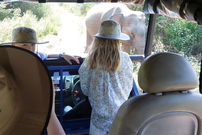 Wildlife Safari Yala National park - Yala National Park Safari: What You’re Likely to See (And How to Enjoy It)