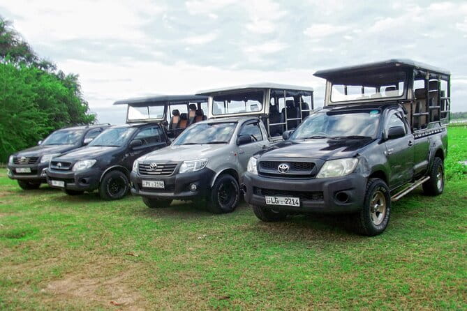 Wildlife Safari Yala National park - Wildlife Safari Value: Does $160 Per Person Make Sense?
