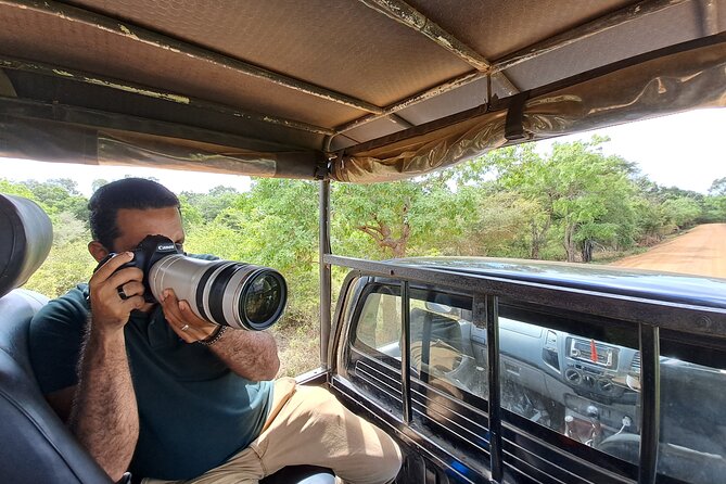 Wilpattu National Park Guided Tour in a Safari Jeep Ride - The three stops: tickets, habitat views, then your best wildlife window