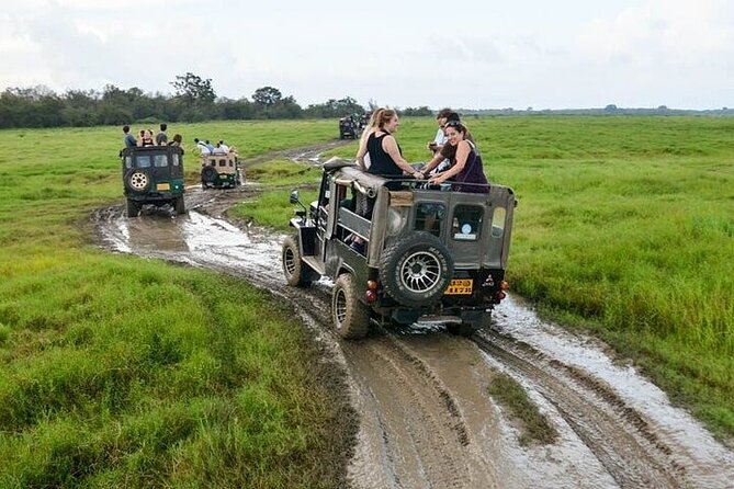 Wilpattu National Park Jeep Safari from Negombo / Waikkal (All Inclusive) - Practical tips so your day goes smoothly
