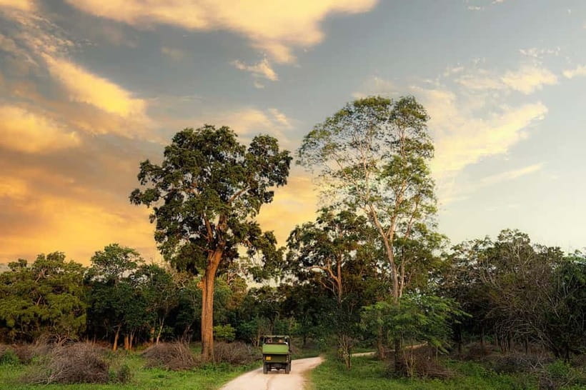 Wilpattu National park: Morning or Afternoon PRIVATE Safari - Getting Started at Hunuwilagama: Your Most Important “First Stop”