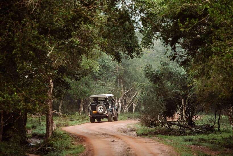 Wilpattu National Park: Private Safari - Price Value: $35 for a Private Safari, Plus the Real Costs