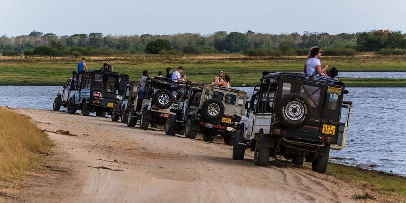 Wilpattu National Park Safari Tour from Colombo - Lunch at Puttalam Hotel: A Local Break You Should Budget For