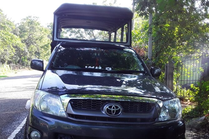 Wilpattu National Park Safari with Pigeon Island Tours - Ecosystem talk that actually helps you spot animals