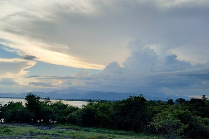 Wilpattu National Park Safari with Pigeon Island Tours - Morning vs afternoon departure: pick based on your pace, not just the clock