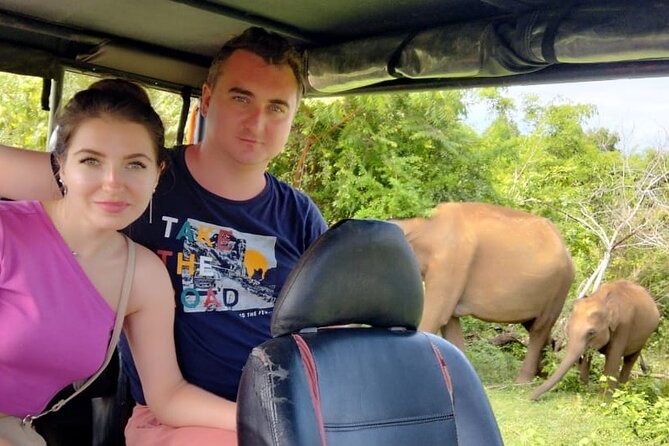 Wilpattu National Park Safari with Pigeon Island Tours - The 4x4 safari jeep: comfort, access, and the “what you can actually see” factor