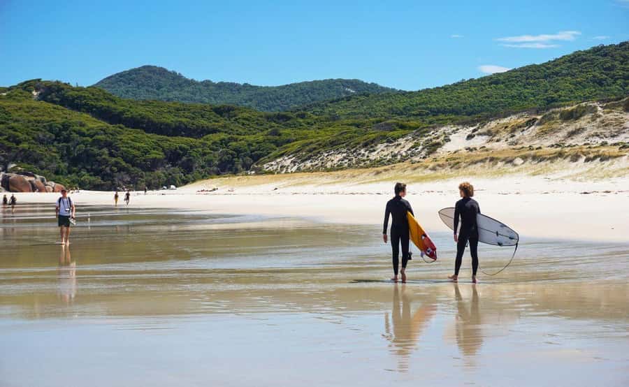 Wilson's Promontory National Park Day Tour From Melbourne - Squeaky Beach: the singing sand moment you’ll never forget