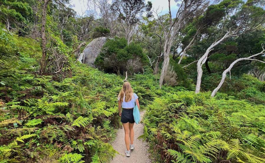 Wilson's Promontory National Park Day Tour From Melbourne - Mount Bishop summit walk: easy-to-medium effort with big viewpoint payback