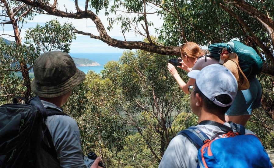 Wilson's Promontory National Park Day Tour From Melbourne - Weather reality: rain or shine, and why your route might shift