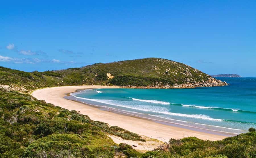 Wilson's Promontory National Park Day Tour From Melbourne - What to bring (and what not to bring) for an easy day
