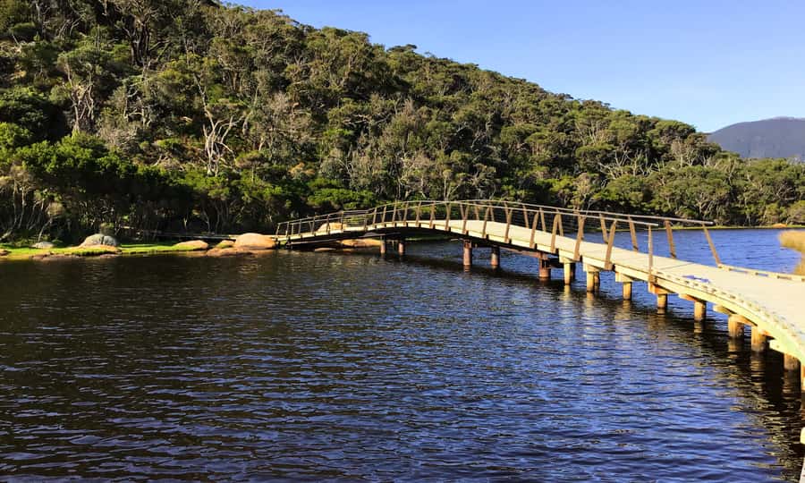 Wilsons Promontory National Park Full-Day Eco Tour - Wildlife spotting: how to actually see kangaroos and wombats