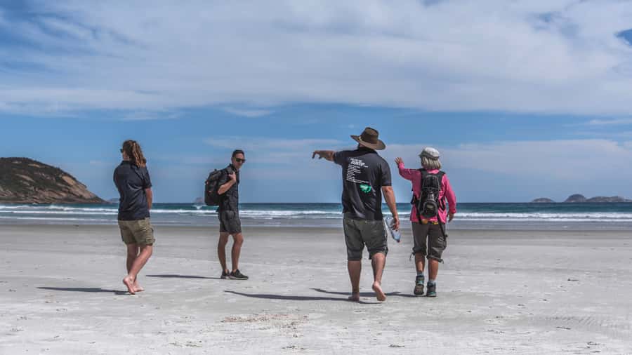 Wilsons Promontory National Park Full-Day Eco Tour - Transportation comfort: Melbourne pickups and an air-conditioned ride