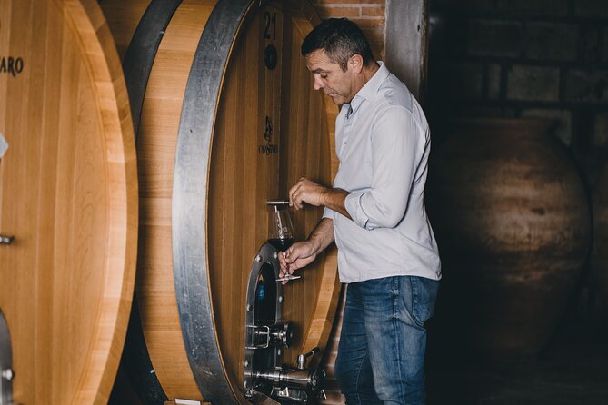 Wine Tasting and Winery Tour in Vesuvio National Park with Lunch - Quick hit highlights