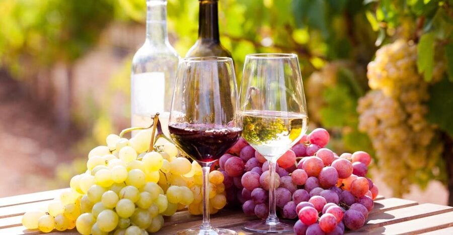 Wine tasting in the Vesuvius National Park - Porta Marina Superiore Meet-Up and the Quick Van Ride to Vesuvius