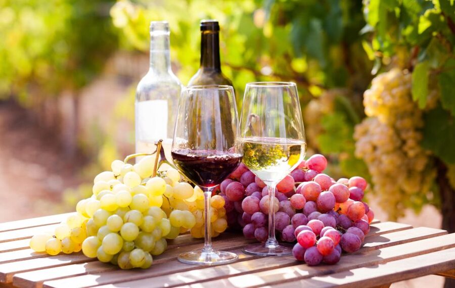 Wine tasting in the Vesuvius National Park - The Four-Wine Tasting: What You’re Really Learning