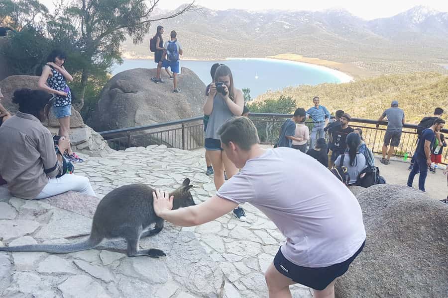 Wineglass Bay & Freycinet National Park Day Trip from Hobart - Wineglass Bay’s big payoff view, without the planning headache