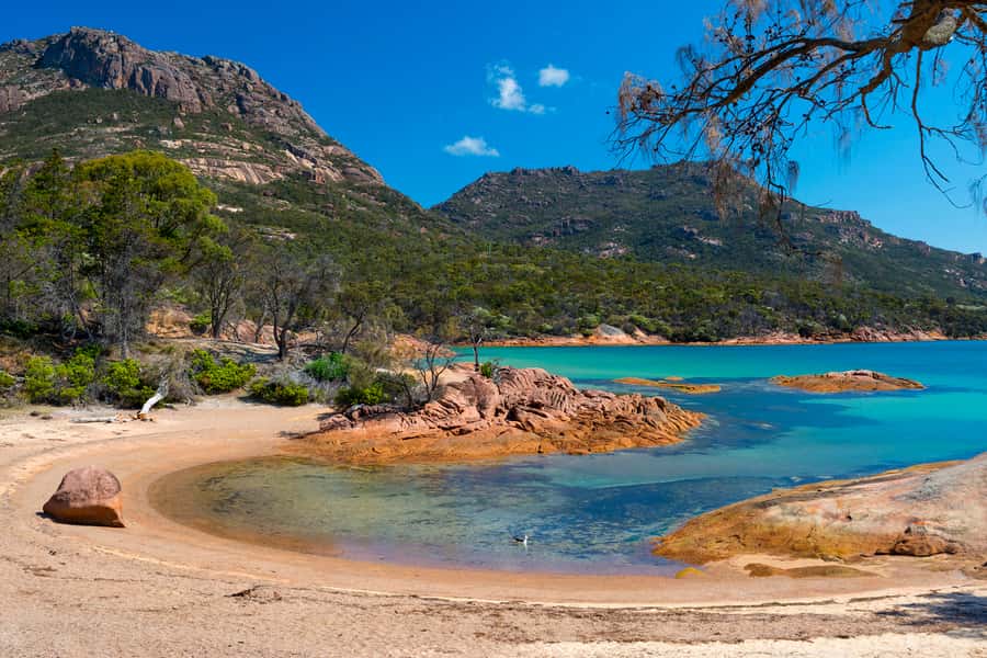Wineglass Bay & Freycinet National Park Day Trip from Hobart - Short scenic walks inside Freycinet National Park