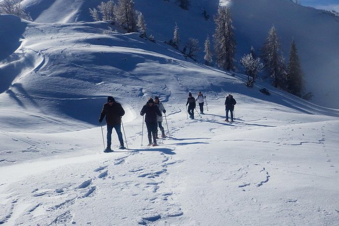 Winter Fairytale - Triglav National Park Half Day Trip - Pickup in Bled, Small Group, and Included Gear That Saves Money