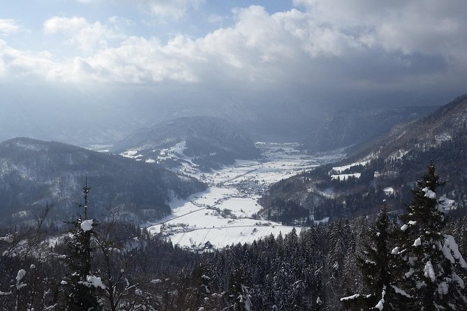 Winter Fairytale - Triglav National Park Half Day Trip - Stop 3: Vogel Ski Center at 1,535m for Panoramas and Snowshoe Time