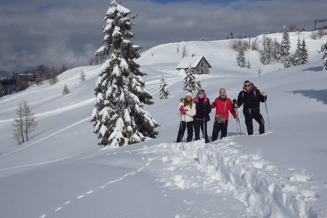 Winter Fairytale - Triglav National Park Half Day Trip - Who This Trip Fits Best (And Who Should Rethink It)