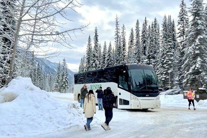 Winter Trip: Lake Louise, Marble Canyon, Emerald Lake, Banff - Marble Canyon in winter: seven bridges and frozen waterfall views