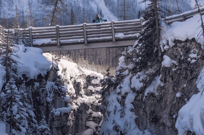 Winter Trip: Lake Louise, Marble Canyon, Emerald Lake, Banff - Lake Louise Village Grill & Bar lunch: plan for extra charges