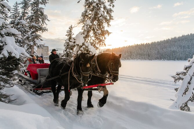 Winter Trip: Lake Louise, Marble Canyon, Emerald Lake, Banff - Lake Louise: one hour to actually enjoy the iconic view