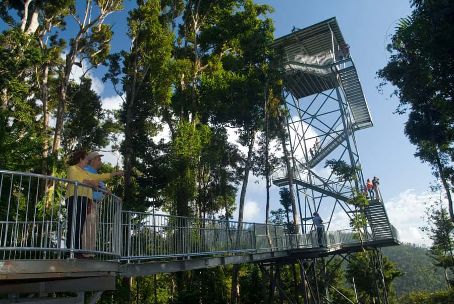 Wooroonooran National Park: Mamu Tropical Skywalk Admission - Key things to know before you go