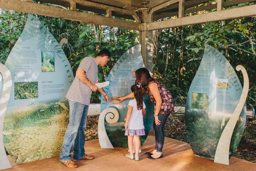 Wooroonooran National Park: Mamu Tropical Skywalk Admission - Forest Walk: rainforest from the ground up, with support for many needs